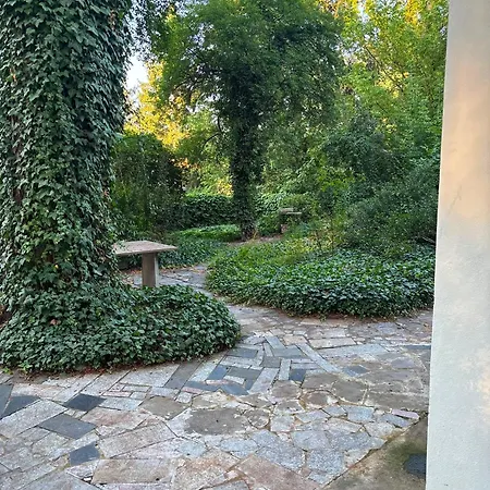 Apartment Garbatka U Artysty *